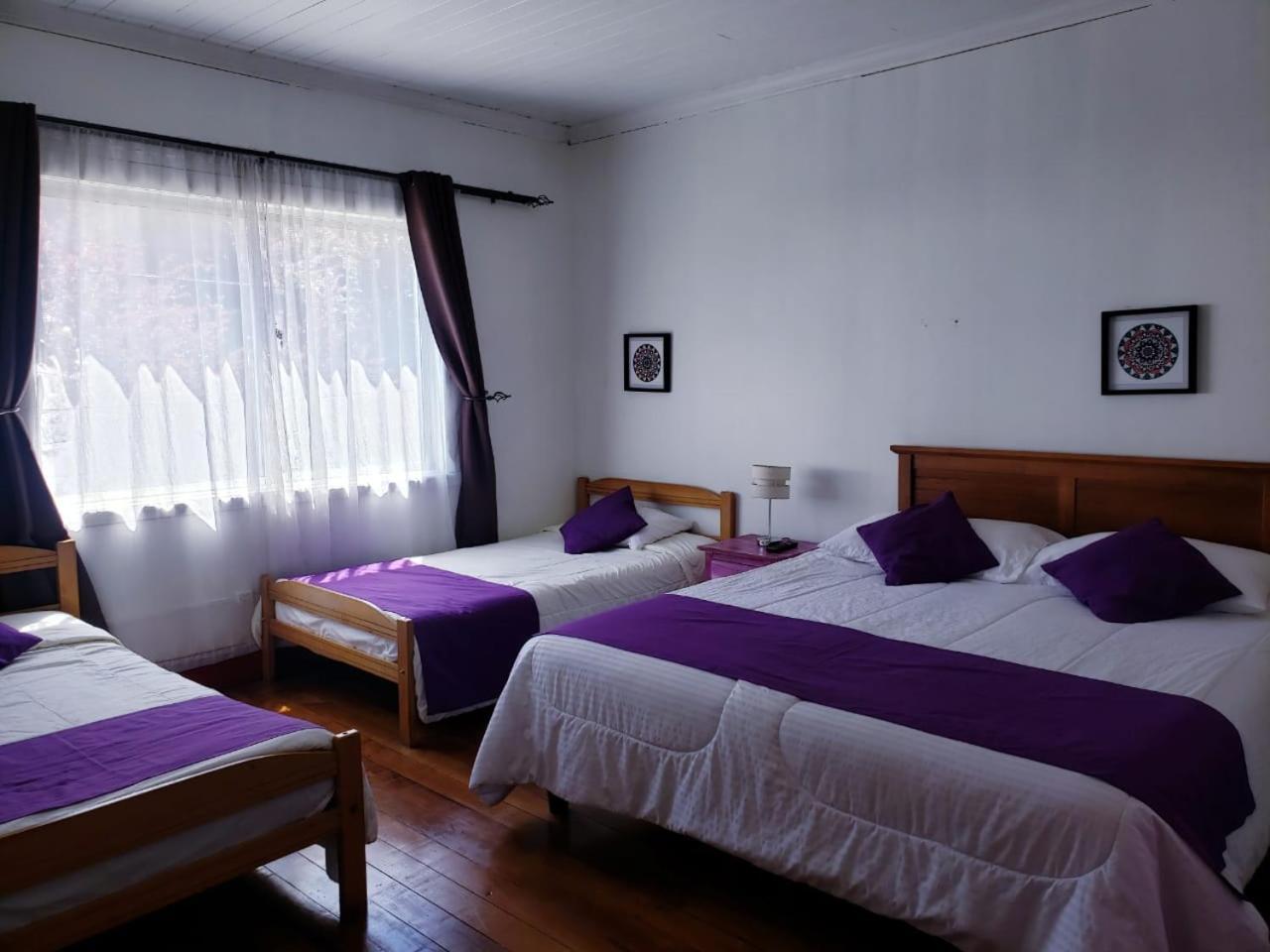Hostal Arrayan Valdivia Exterior photo